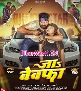 Ja Bewafa Jake Luta Lahaar (Hit Matter)