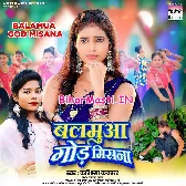 Mil Gaile Hamke Balam Gor Misana