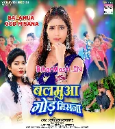 Mil Gaile Hamke Balam Gor Misana